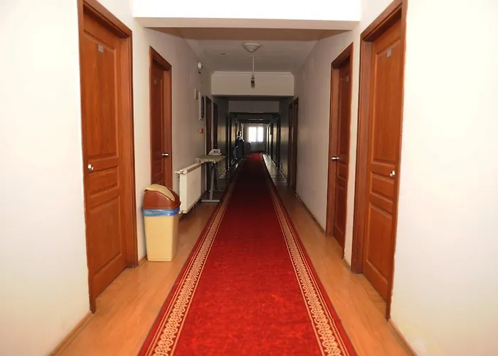 Guest house Ayyildiz