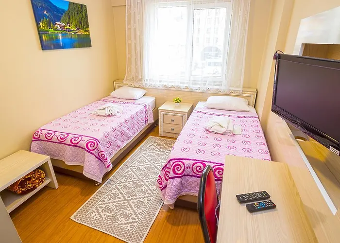 艾依笛滋酒店 *