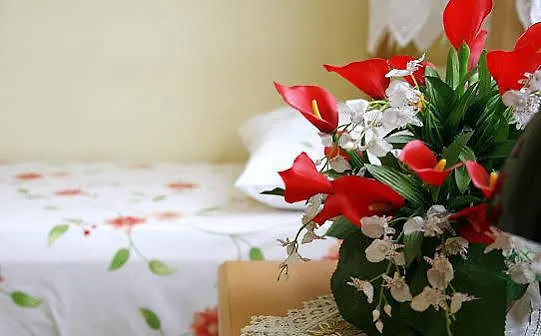 Ayyildiz Guest house *