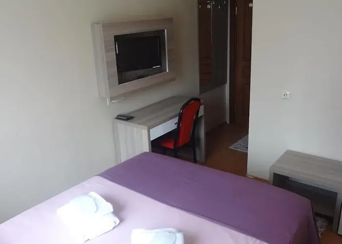 Guest house Ayyildiz *